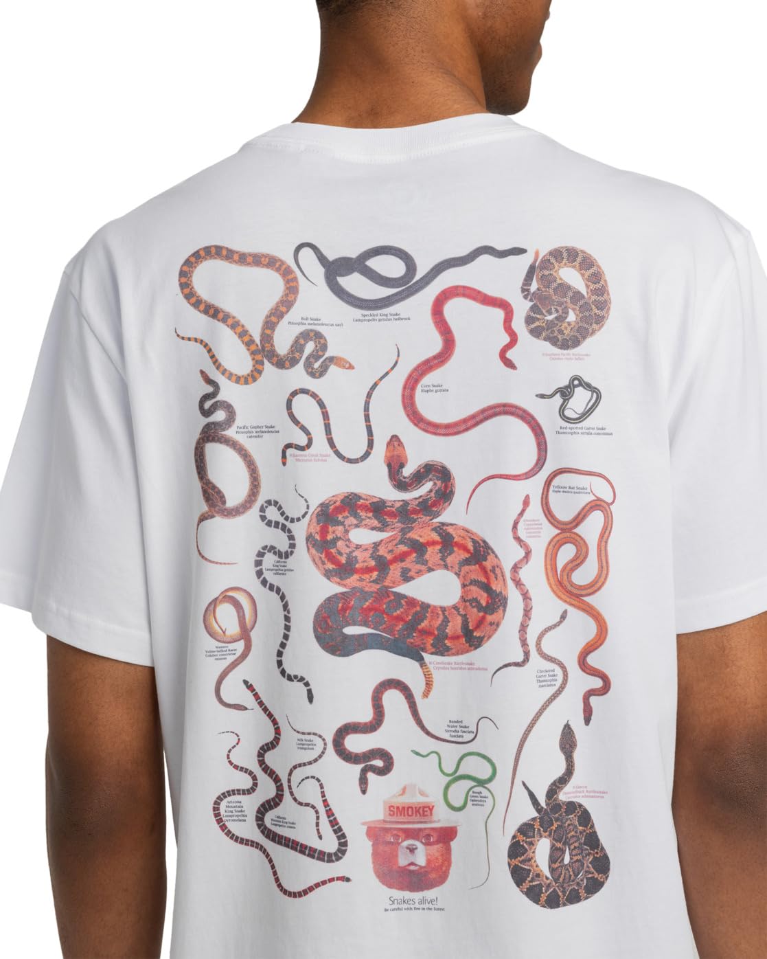 element-sbxe-nest-ss-maglietta-uomo-t-shirt-grafica-nest image 2