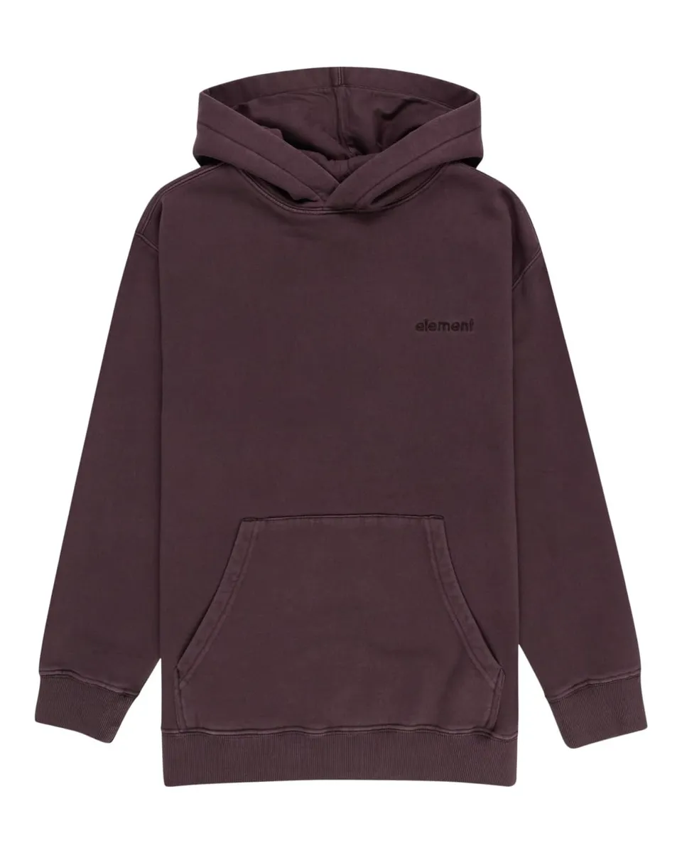 element-cornell-3-0-hoodie-felpa-cappuccio-ragazzo image 1