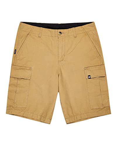 element-legion-cargo-pantaloncini-cargo-uomo image 4