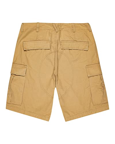 element-legion-cargo-pantaloncini-cargo-uomo image 6