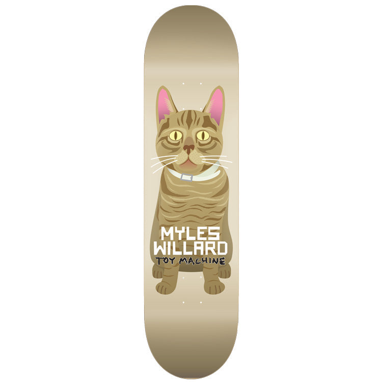 toy-machine-myles-willard-cat-8-13-tavola-da-skateboard-pro image 1