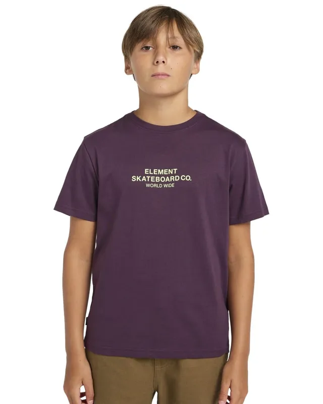 element-skateboard-co-ss-t-shirt-bambini-e-ragazzi-pack-da-1 image 1
