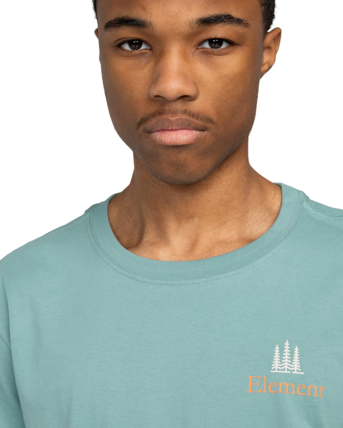element-crail-sbxe-remember-t-shirt-manica-corta-uomo image 4