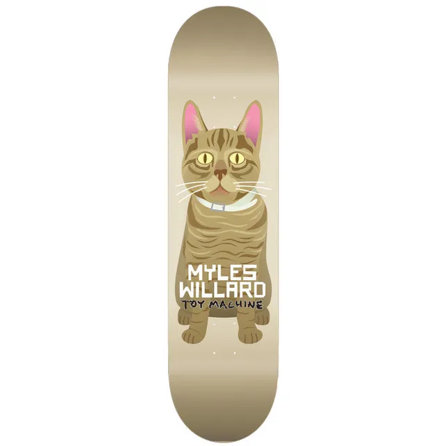 toy-machine-myles-willard-cat-8-13-tavola-da-skateboard-pro image 1