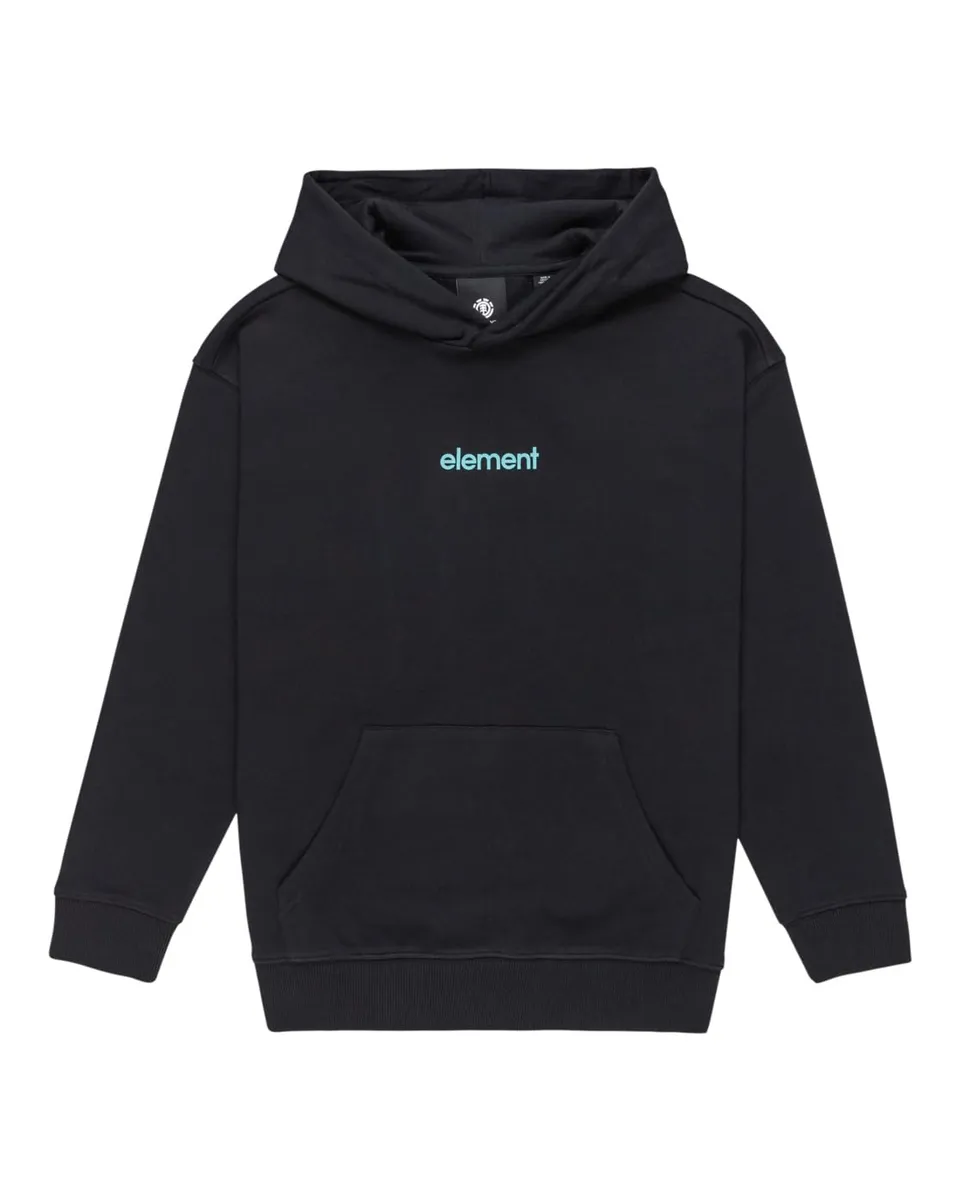 element-cornell-simple-logo-felpa-con-cappuccio-ragazzo image 1
