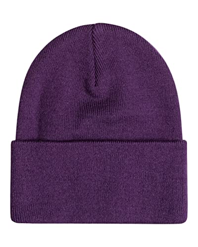 element-dusk-classic-beanie-cappello-invernale-uomo image 4