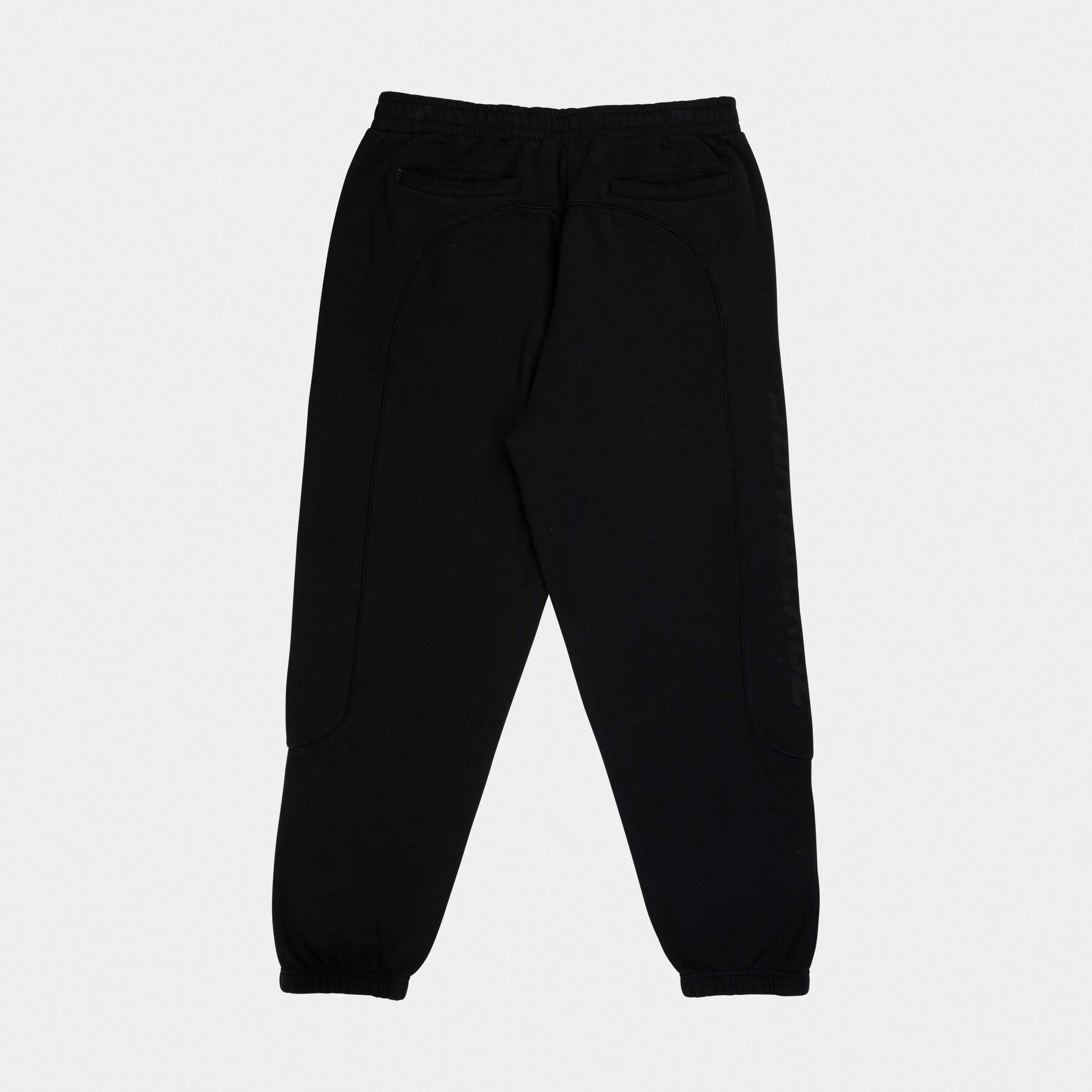 santa-cruz-skateboards-team-jogger-pant-uomo image 2