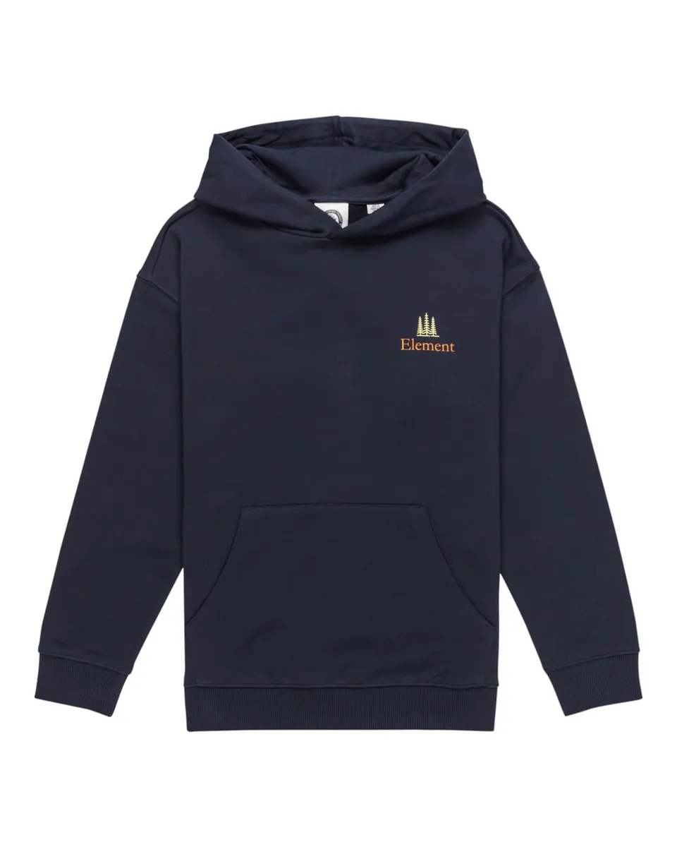 element-sbxe-remember-po-y-felpa-con-cappuccio-ragazzo image 1