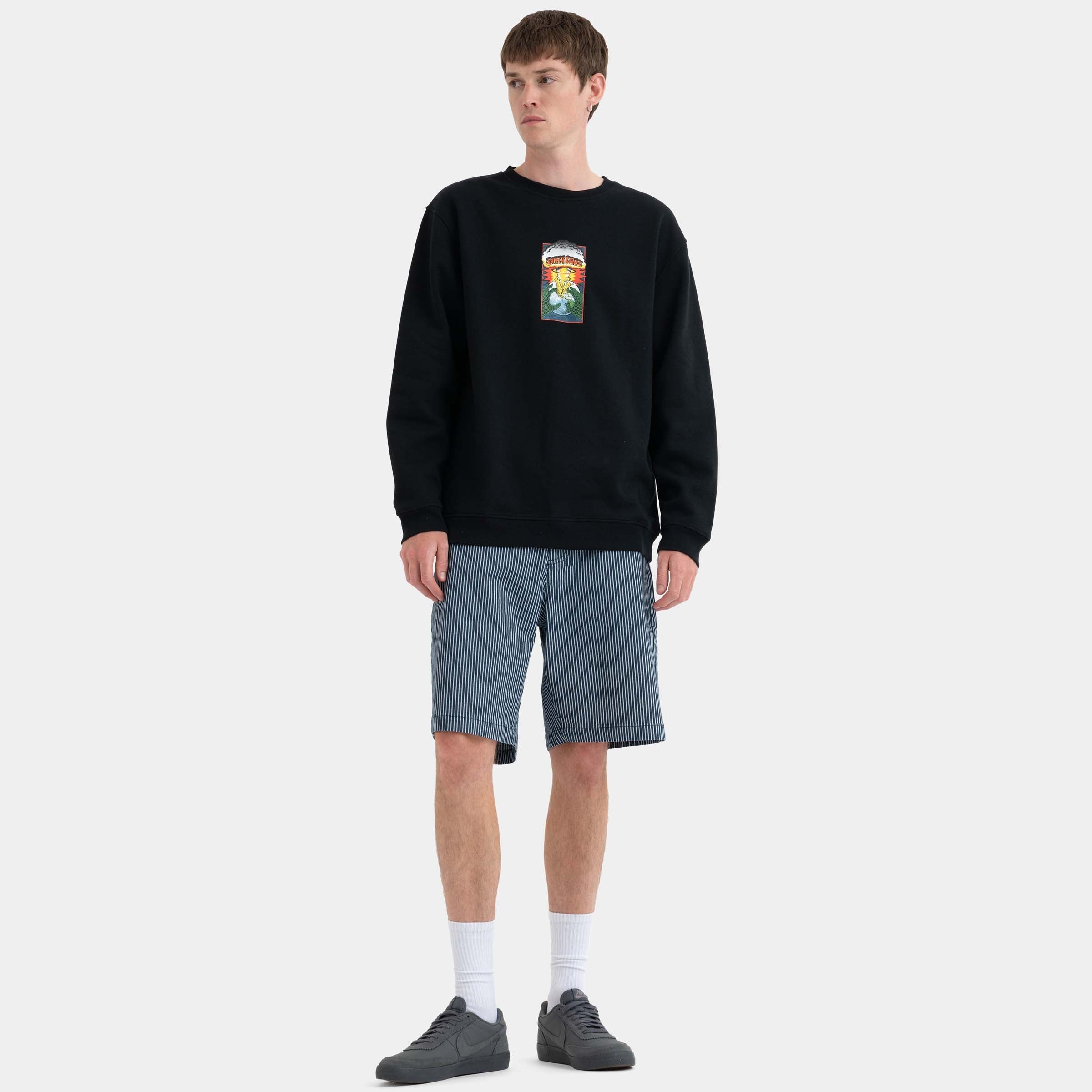 santa-cruz-skateboards-big-shorts-uomo-shorts-denim-baggy-fit image 6
